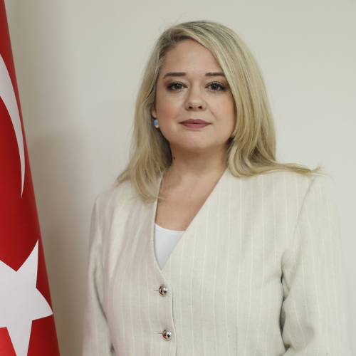 Ayşin	 Turpancı