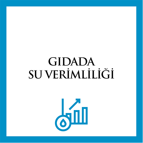 Gıdada Su Verimliliği