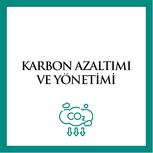 Karbon Azaltımı ve Yönetimi
