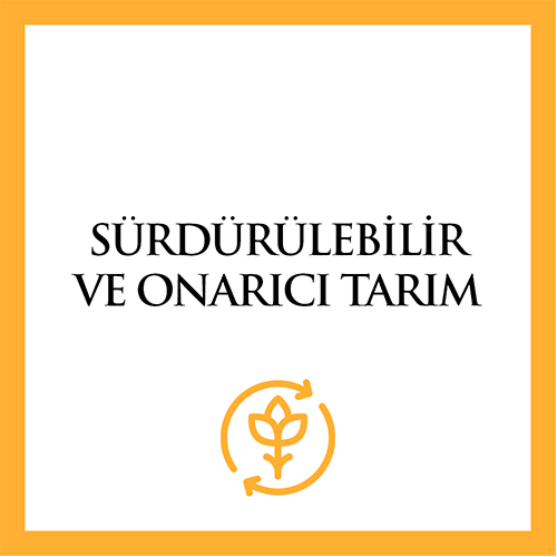 Sürdürülebilir ve Onarıcı Tarım