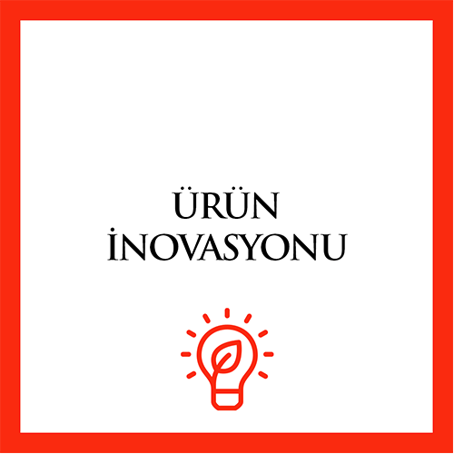 Ürün İnovasyonu