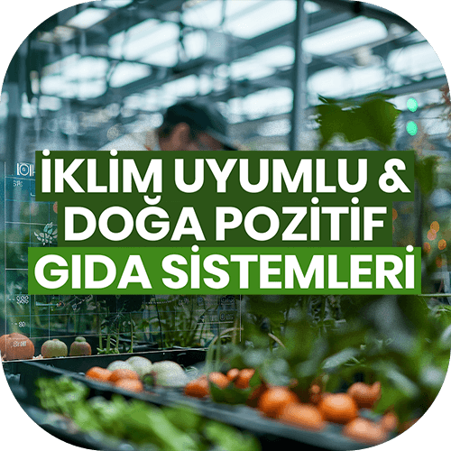 İklim Uyumlu & Doğa Pozitif Gıda Sistemleri