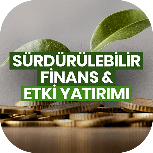 Sürdürülebilir Finans