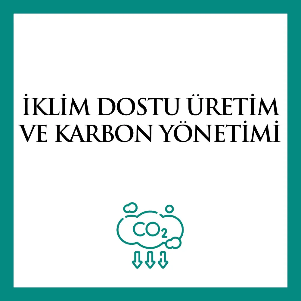 İklim Dostu Üretim ve Karbon Yönetimi