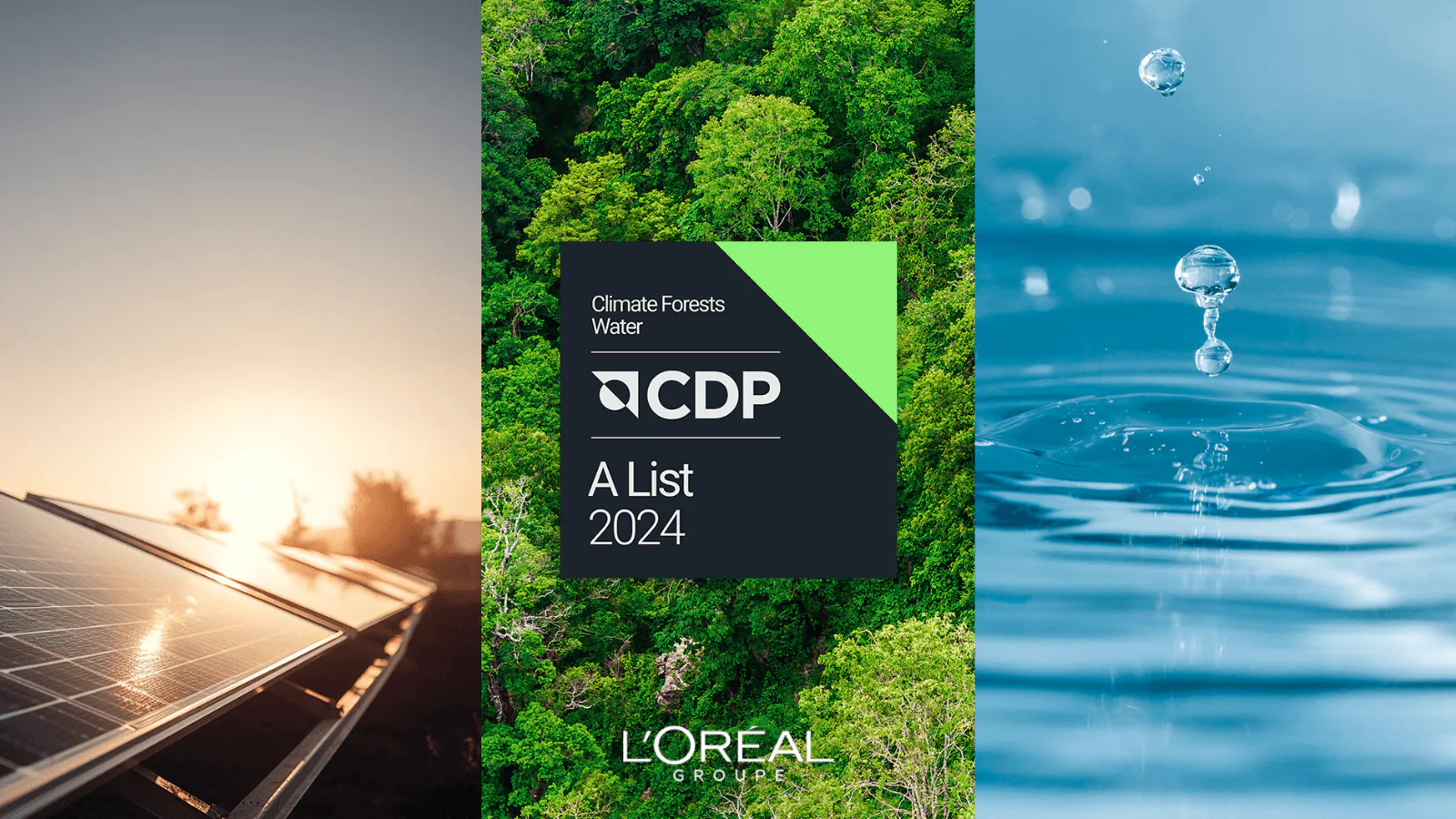 L’Oréal Grup, CDP’den üst üste 9.kez üçlü ’A’ puanı aldı