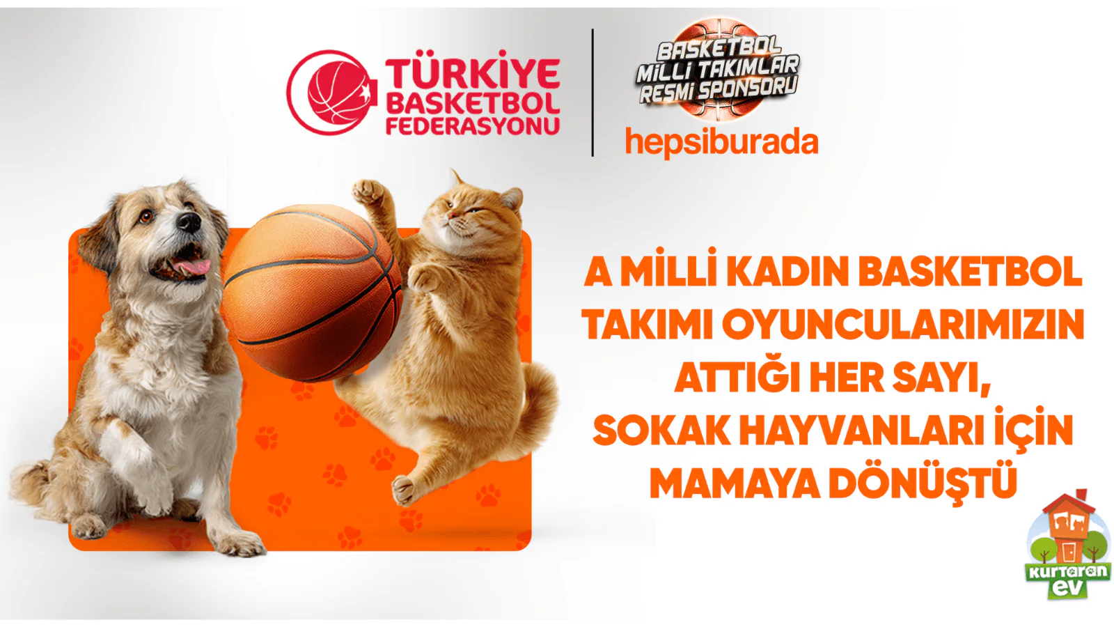 Potadan Patiye Projesiyle Her Sayı Sokak Hayvanları İçin Mamaya Dönüştü